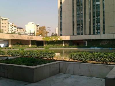 مجتمع asp تهران